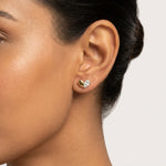 Load image into Gallery viewer, 9KT Gold Diamond Heart Stud Earrings for Women