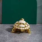 Load image into Gallery viewer, The Golden Grace Tortoise
