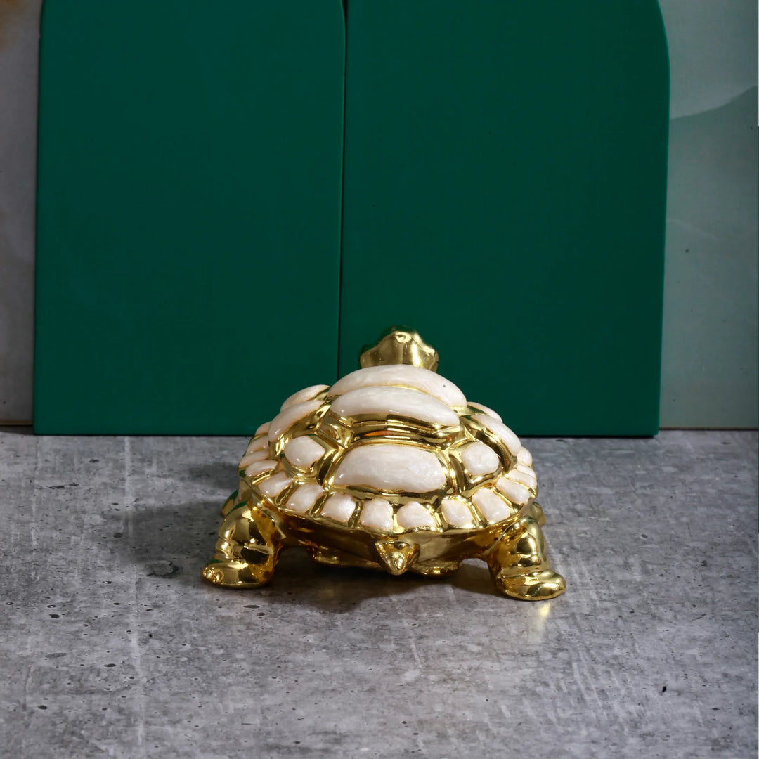 The Golden Grace Tortoise