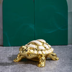Load image into Gallery viewer, The Golden Grace Tortoise
