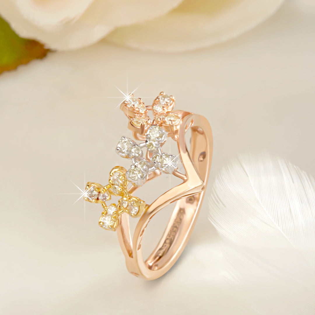 The Venusian Ring