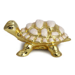 Load image into Gallery viewer, The Golden Grace Tortoise
