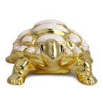 Load image into Gallery viewer, The Golden Grace Tortoise
