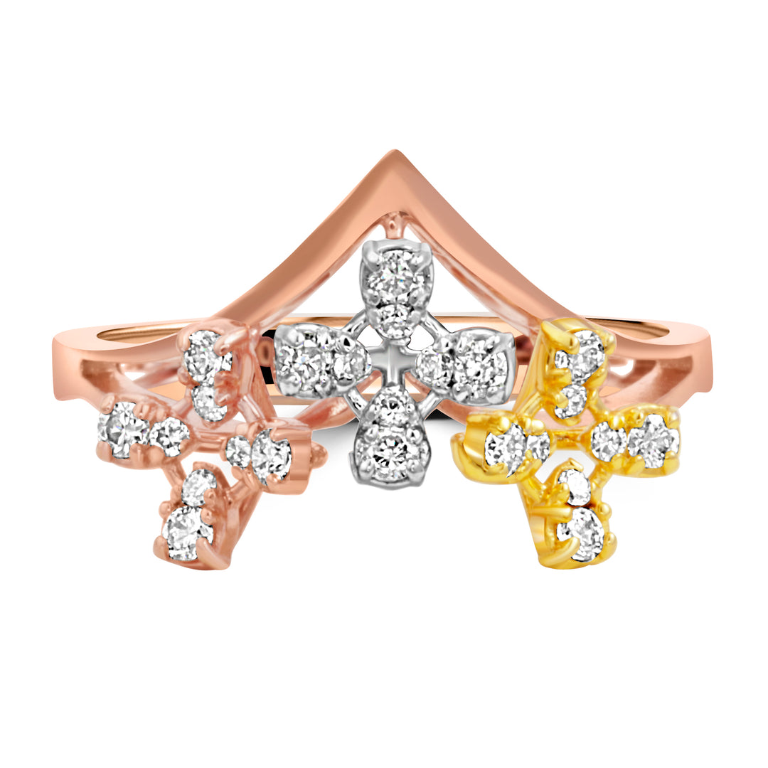 The Venusian Ring