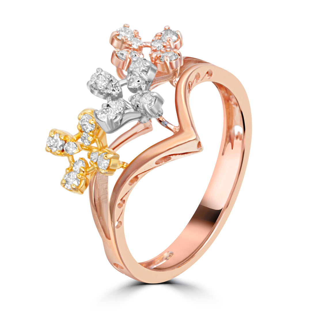 The Venusian Ring