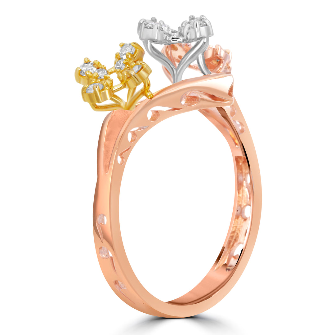 The Venusian Ring