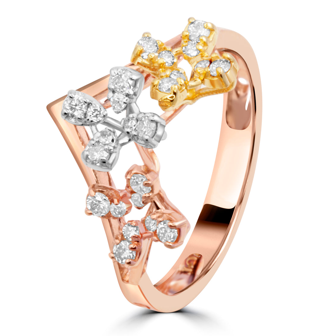 The Venusian Ring